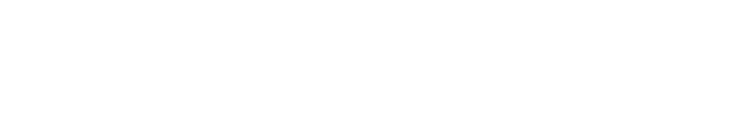 YEG Airport Limousine Service - Logo